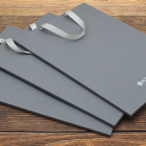 Вырубные бумажные пакеты Roscongress на дизайнерском картоне с серебряным тиснением